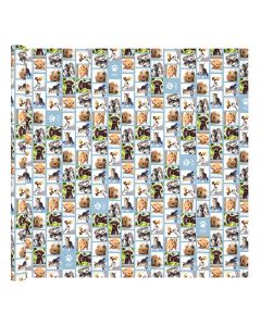 QC kaftpapier my favorite friends rol met 2 vellen 70 x 100cm